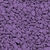 messina-gravier-violet-aquarium