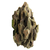 comb-stone-2-décoration-aquarium-terrarium