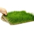 tapis-plante-epaqmat-xxl-eleocharis-acicularis-dimension-du-tapis-60-x-40-cm