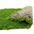 tapis-plante-epaqmat-xxl-micranthemum-monte-carlo-dimension-du-tapis-60-x-40-cm