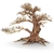 amtra-legno-oriental-wind-4-md-bonsai-30-x-13-x-23-cm-de-haut-pour-aquascaping