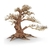 amtra-legno-oriental-wind-4-sm-bonsai-23-x-10-x-17-cm-de-haut-pour-aquascaping