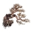 amtra-legno-oriental-wind-7-sm-bonsai-20-x-8-x-15-cm-de-haut-pour-aquascaping