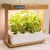 bioponis-bamboo-1-kit-de-culture-hydroponie-pour-la-creation-d-un-mini-potager-d-interieur