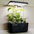 bioponis-eden-noir-kit-de-culture-hydroponie-pour-la-creation-d-un-mini-potager-d-interieur