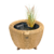 velda-orbis-mini-pond-beige-mini-bassin-equipe-diametre-65-cm-x-40-cm-de-haut-1