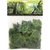 reptiles-planet-amazon-jungle-vine-2-6-m-plante-en-tissu-pour-terrarium