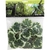 reptiles-planet-congo-jungle-vine-2-6-m-plante-en-tissu-pour-terrarium