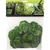 reptiles-planet-serengti-jungle-vine-2-6-m-plante-en-tissu-pour-terrarium