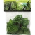 reptiles-planet-plante-en-tissu-cruise-jungle-vine-2-6-m-plante-en-tissu-pour-terrarium