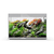 aquael-glossy-80-led-day-night-2-0-gris-laque-aquarium-80-cm-volume-125-l-et-eclairage-leds-1