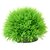 hobby-plant-ball-1
