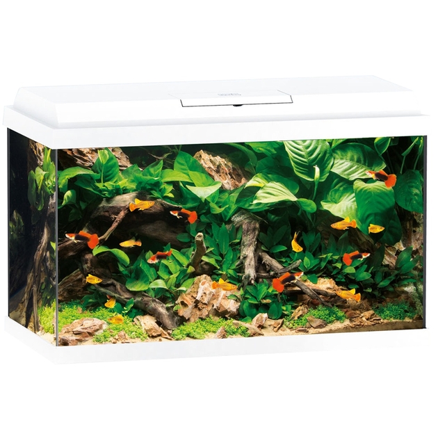 JUWEL AQUARIUM PRIMO 70 61x31x44CM noir - Cdiscount