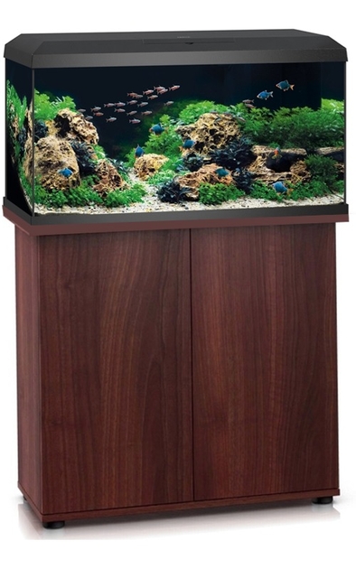 REPTILES PLANET Bassin mangeoire pour tortues ou reptiles Stone