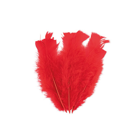 plume-rouge2