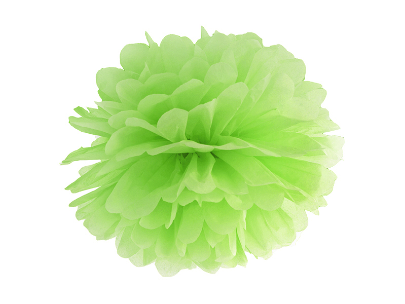 pompon-vert-anis
