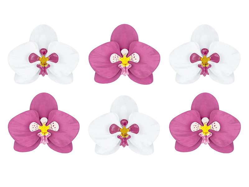 6 décors table orchidées