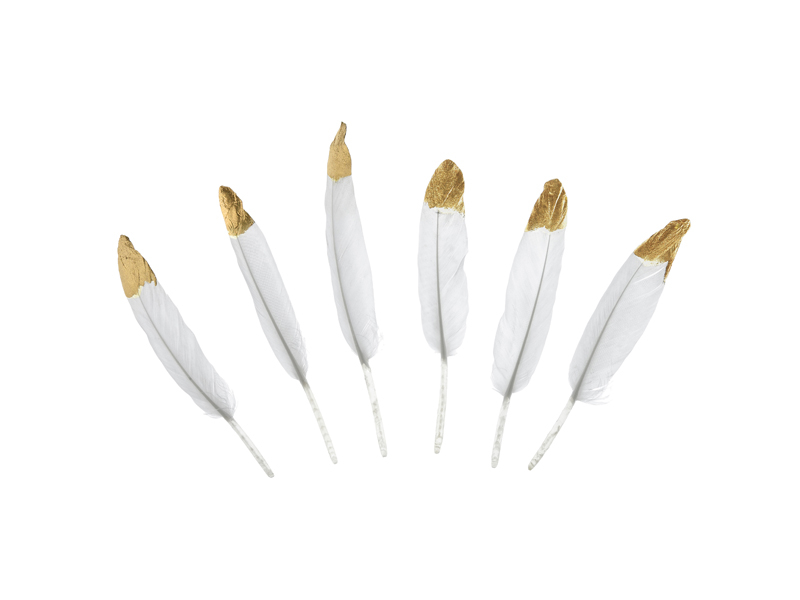 6 plumes blanches et dorées
