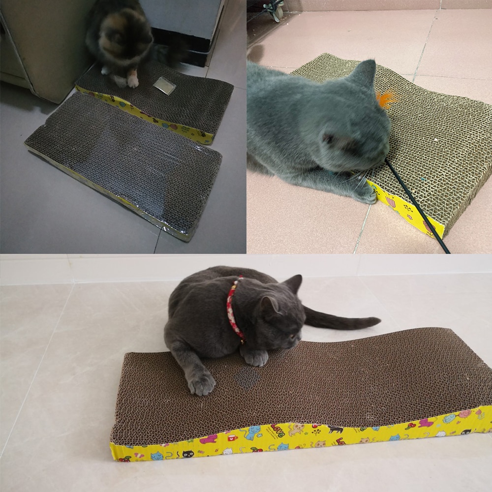 Tapis Griffoir Pour Chat Griffoirs Au Chat Heureux