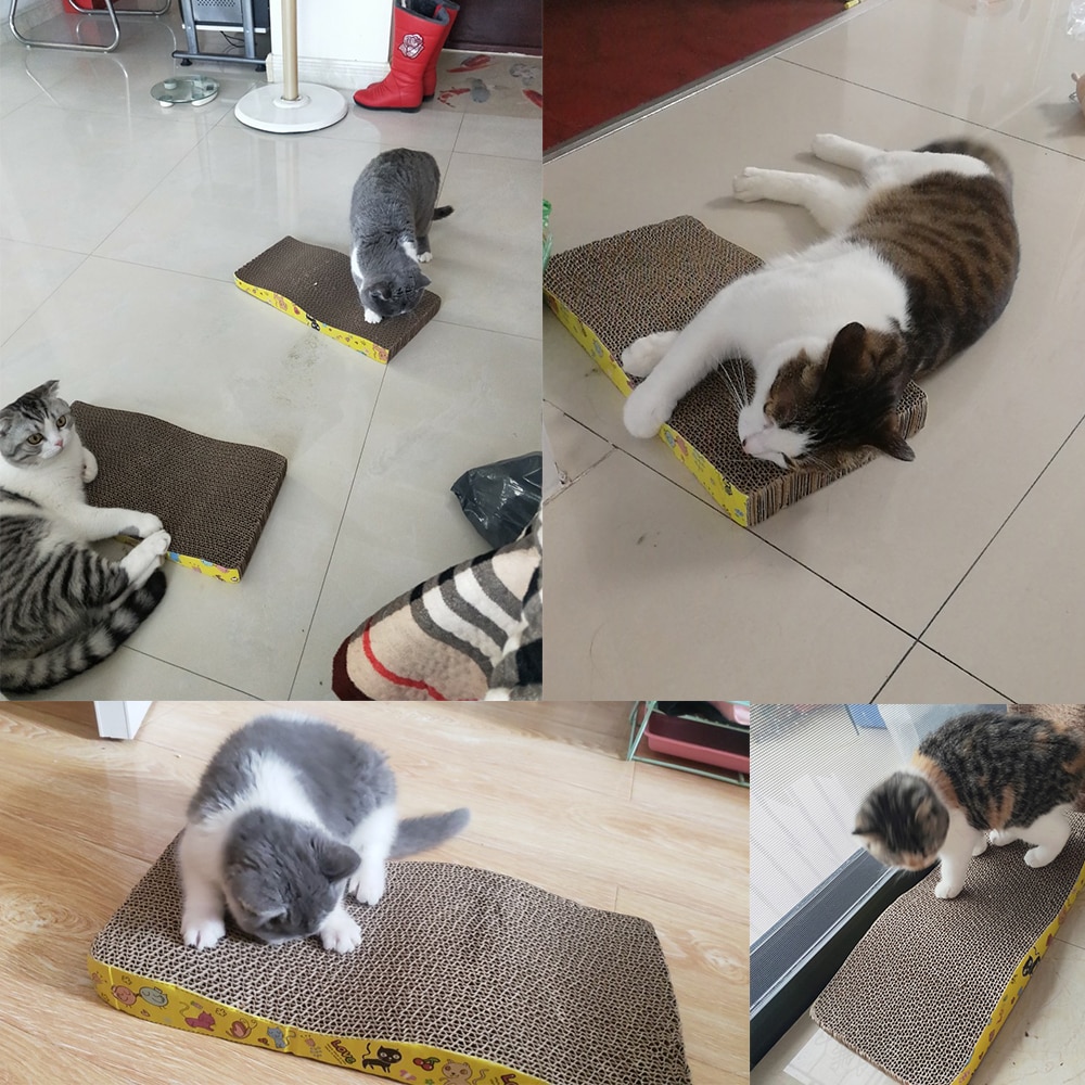 Tapis Griffoir Pour Chat Griffoirs Au Chat Heureux