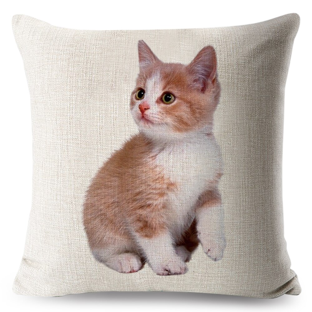 Housse-de-coussin-motif-chat-adorable-Taie-d-oreiller-canap-coussins-imprim-Animal-d-coration-de