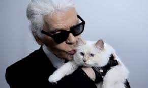 mode chat lagerfeld