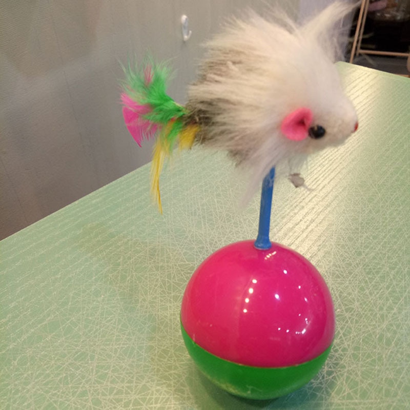 Mimi-jouets-d-animaux-pour-chats-Pi-ces-jouets-d-animaux-durables-pour-chats-gobelet-de