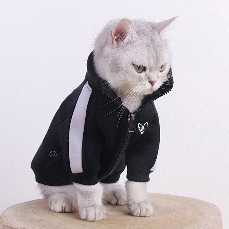 Gilet Sportif Gilets Pour Chat Gilet Sportif Au Chat Heureux