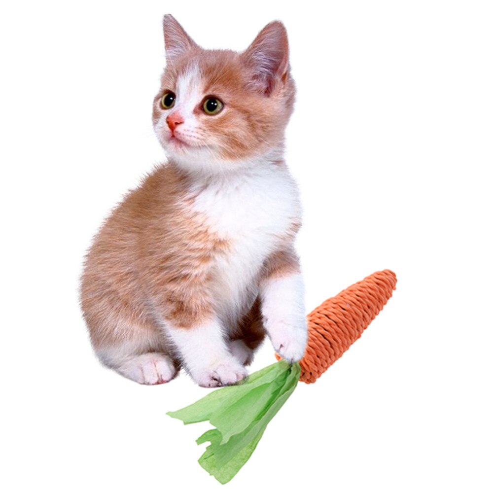 14cm-chat-de-compagnie-jouets-interactif-dr-le-griffoir-Sisal-corde-dents-meulage-cha-ne-carottes