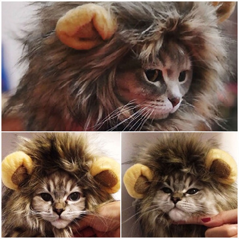 Furry-perruque-Jouet-Gatos-Chat-Katten-Chapeau-pour-animaux-de-compagnie-perruque-pour-Chat-et-animaux