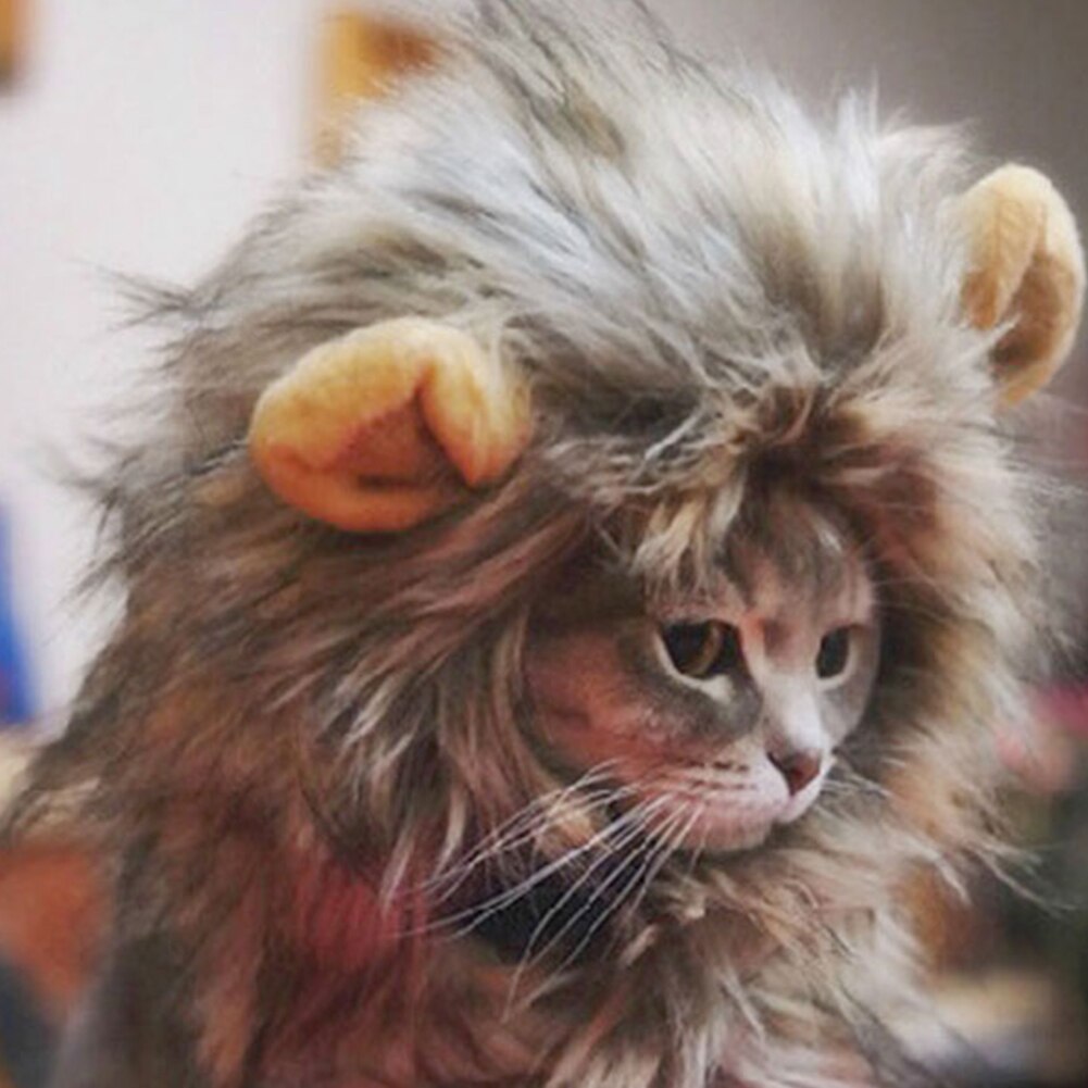 Furry-perruque-Jouet-Gatos-Chat-Katten-Chapeau-pour-animaux-de-compagnie-perruque-pour-Chat-et-animaux