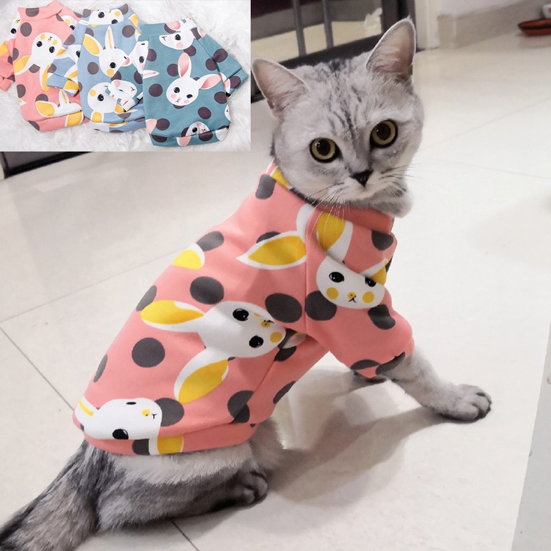 Sweat-capuche-pour-chat-v-tement-doux-et-chaud-pour-l-hiver-Costume-de-chat-Katten