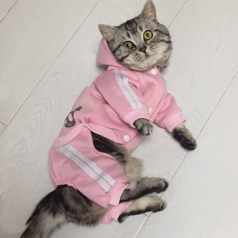 Combinaison-pyjama-pour-animaux-de-compagnie-v-tements-d-hiver-chauds-la-mode-pour-chats-chatons