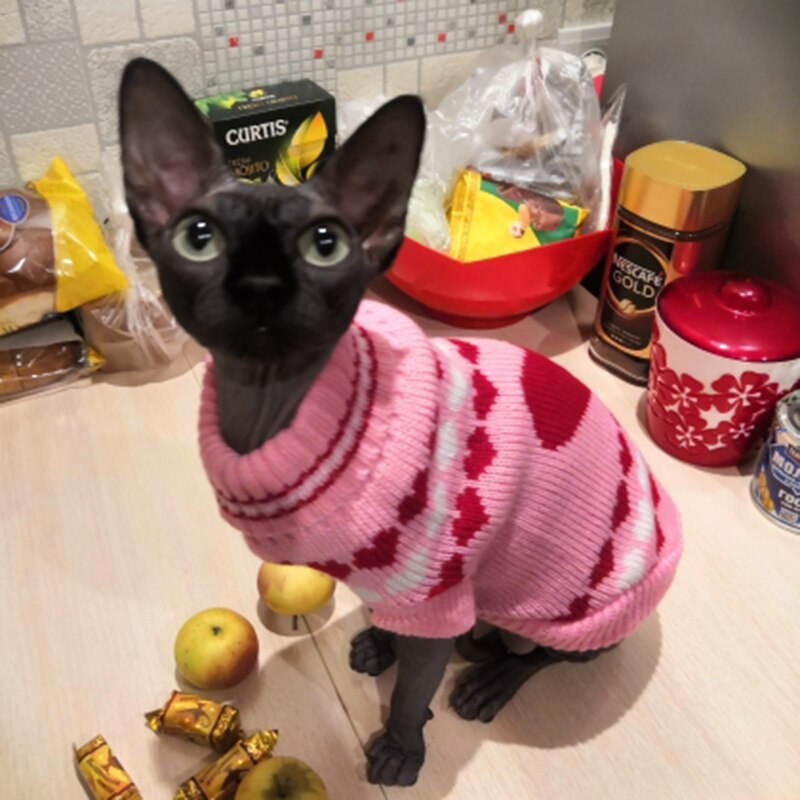 Pull-de-no-l-pour-animaux-de-compagnie-Costume-d-hiver-chaud-pour-chat-Kedi-katten
