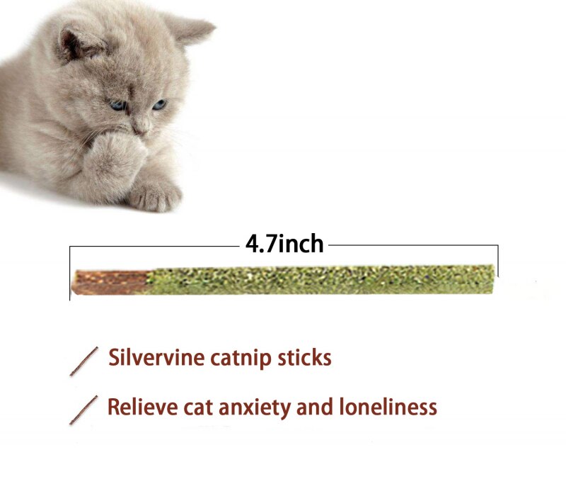 Jouets-m-cher-pour-chats-b-tonnets-d-herbe-chat-100-naturelle-pour-chatons-nettoyage-des