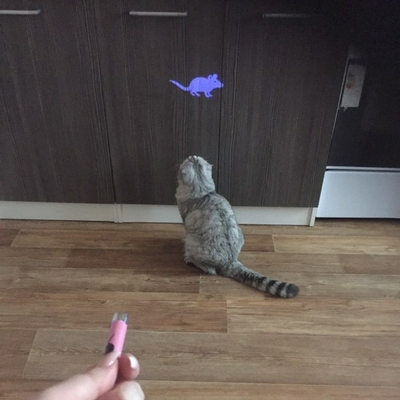 Jouets-cr-atifs-et-amusants-pour-chats-accessoires-pour-animaux-de-compagnie-stylo-lumineux-LED-avec