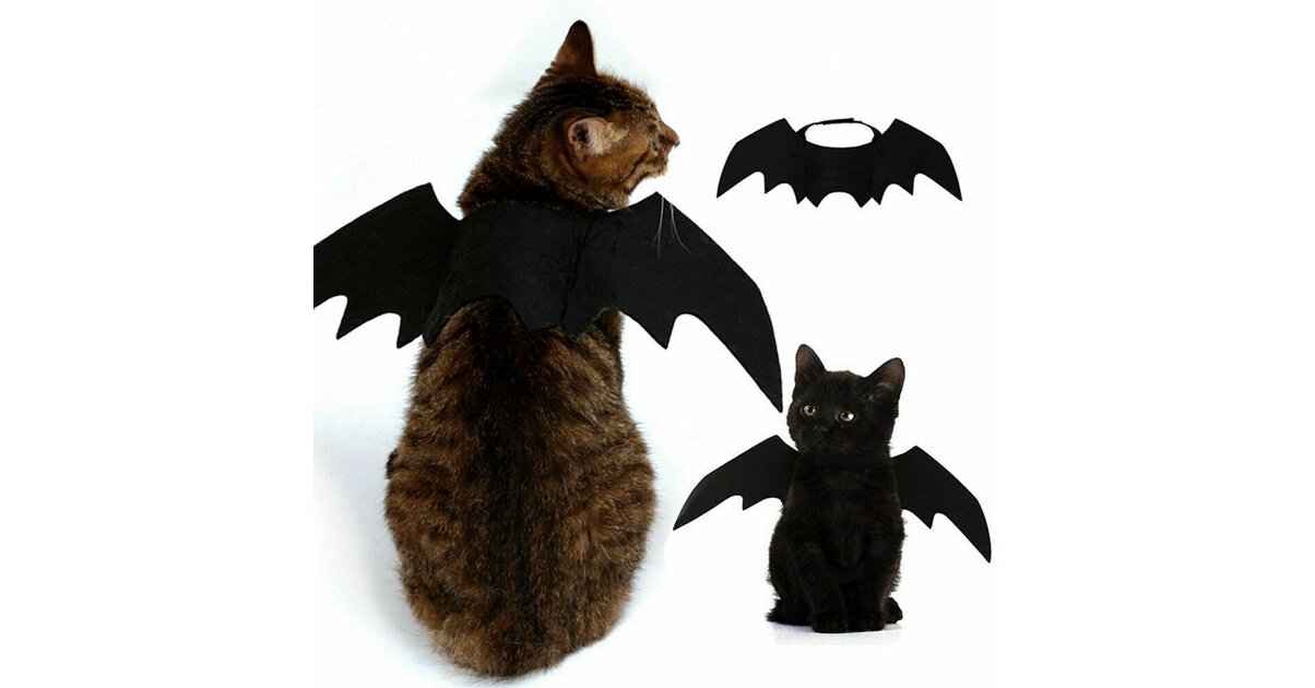 Cape Chauve Souris Femme Déguisement Chauve-souris Adulte Cape Ailes De Chauve-Souris Noir