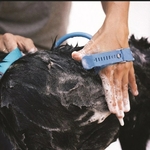 Nouvel-outil-de-bain-pour-animaux-de-compagnie-masseur-confortable-outil-de-douche-nettoyage-lavage-pulv