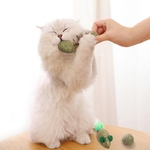 Chat-de-compagnie-enl-ve-les-boules-de-poils-m-cher-sur-les-jouets-Teng-en