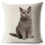 Housse-de-coussin-motif-chat-adorable-Taie-d-oreiller-canap-coussins-imprim-Animal-d-coration-de