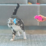 Dernier-jouet-pour-chat-Mini-h-lice-amuseur-de-chat-avec-t-te-rotative-Instructions-en