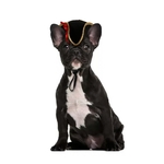 Chapeau-de-soleil-d-t-pour-animaux-domestiques-5-couleurs-accessoires-de-t-te-chapeau-Pirate