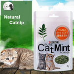 100-naturel-cataire-chat-jouets-Menthol-saveur-propre-dents-soins-de-sant-dr-le-chat-menthe