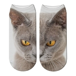 2019-nouveau-3D-impression-femmes-chaussettes-coton-chaussette-mode-unisexe-Animal-chaussettes-chat-Meias-femelle-dr