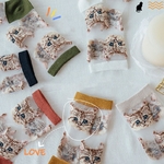 Chaussettes-Tube-transparentes-et-mignonnes-pour-femmes-nouveau-japonais-Harajuku-avec-chat-de-dessin-anim-v