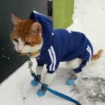 Combinaison-pyjama-pour-animaux-de-compagnie-v-tements-d-hiver-chauds-la-mode-pour-chats-chatons