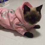 Combinaison-pyjama-pour-animaux-de-compagnie-v-tements-d-hiver-chauds-la-mode-pour-chats-chatons