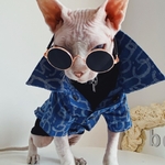 Sphynx-manteau-de-Cowboy-sans-poils-pour-chat-joli-manteau-en-Denim-la-mode-animal-de