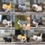 Figurines-de-famille-de-chats-siamers-9-pi-ces-baiupour-Figurines-miniatures-l-gantes-et-en