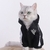 Mode-chat-v-tements-pour-animaux-de-compagnie-chat-manteaux-veste-capuche-pour-chats-tenue-chaude